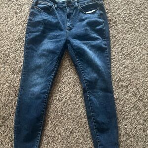 Judy Blue Skinny 14W